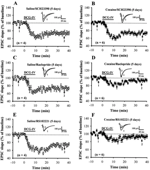 Figure 2. Repeated cocaine administration impairs DCG-IV-LTD induction via the activation of D 1 -like dopaminergic receptors.