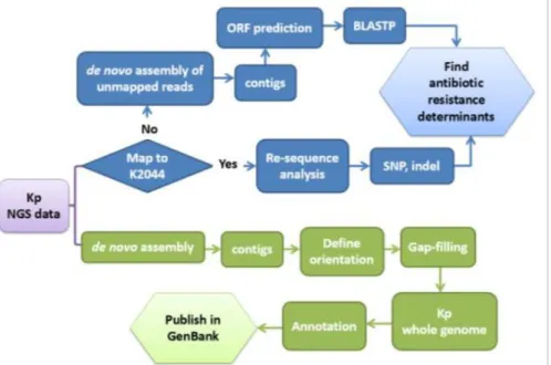 Fig. 5. Flowchart of next generation sequence data analysis. 