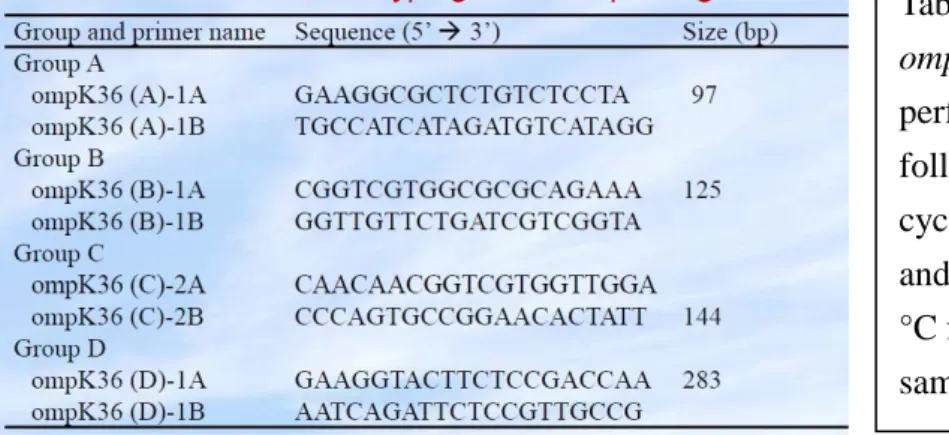 Table 2. Results of ompK36 typing, β-lactamase typing and multilocus sequence typing for 81 K