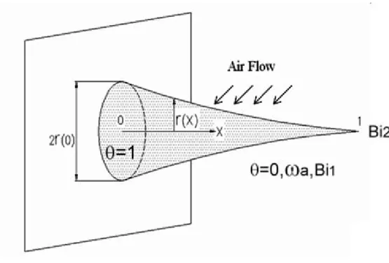 Figure 1. The longitudinal fully wet fin.