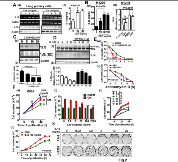 Figure  2.  EGF  induces  IL10  expression,  and  IL10  increases  proliferation.  A(a)