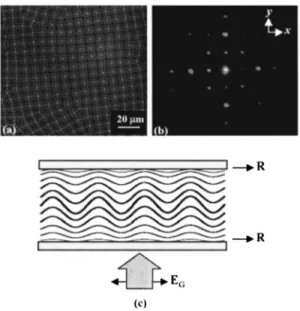 FIG. 2. 共a兲 A formed two-dimensional 共2D兲 grating under a polarizing op- op-tical microscope 共POM兲 without an analyzer based on dye-doped cholesteric liquid crystal 共DDCLC兲 cell with P 0 = 0.38 ␮ m 共sample 6兲 for I G