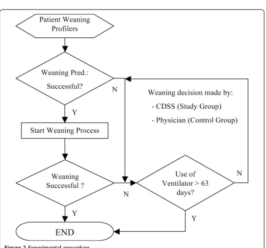 Figure 2 Experimental procedure.