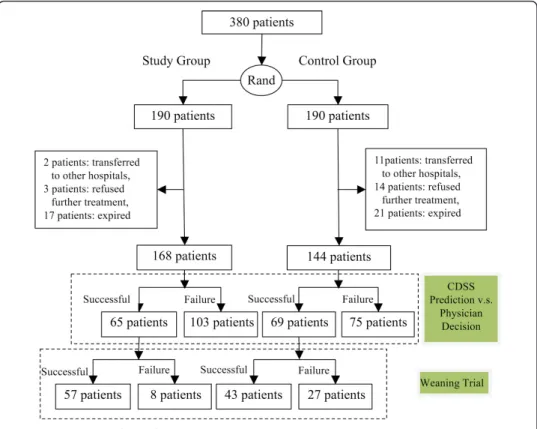 Figure 3 Experimental paradigm.