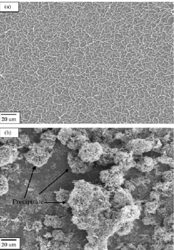 Fig. 2. SEM micrographs of the films deposited from the acetates-containing precursor solutions (a) with  and (b) without chitosan addition followed by heattreatment at 700 ˚C for 1 h