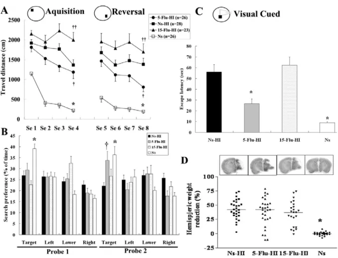 Fig. 2  Fluoxetine pretreatment increased CREB phosphorylation (pCREB) in the 