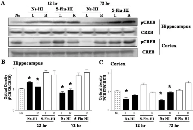 Fig. 3    Fluoxetine pretreatment increased brain-derived neurotrophic factor (BDNF) 