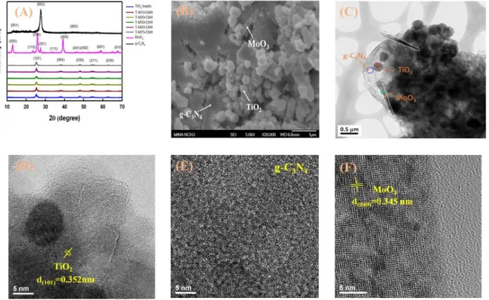 Figure 4.    (A) XRD patterns, (B) SEM, and (C) TEM images of ternary TiO 2 /MoO 3 /g-C 3 N 4  nanocomposite  (T-M30-CNH)