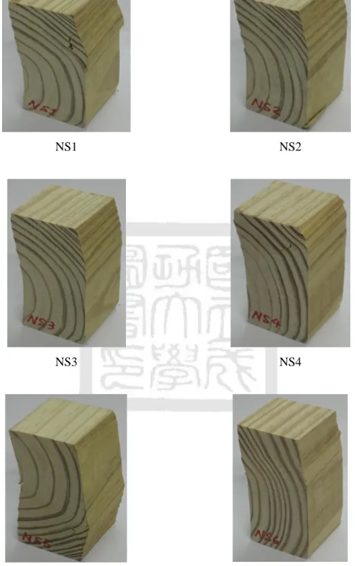 圖 2.24    新木材弦向抗壓(NS)各試體破壞情形 