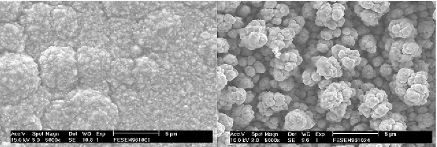 Fig. 3. SEM micrographs of the copper electrodeposits that were prepared on nickel wires at 313K by  electrolysis of solutions of 50 mM CuCl in EMI-DCA at -1.55V, and-1.80 V