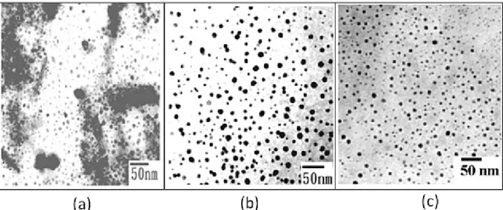 Fig. 1 shows TEM images of the iron oxide suspensions. In addition to the dispersed and well-separated features,  the prepared colloids also exhibited some degree of aggregated morphology, as shown in Fig