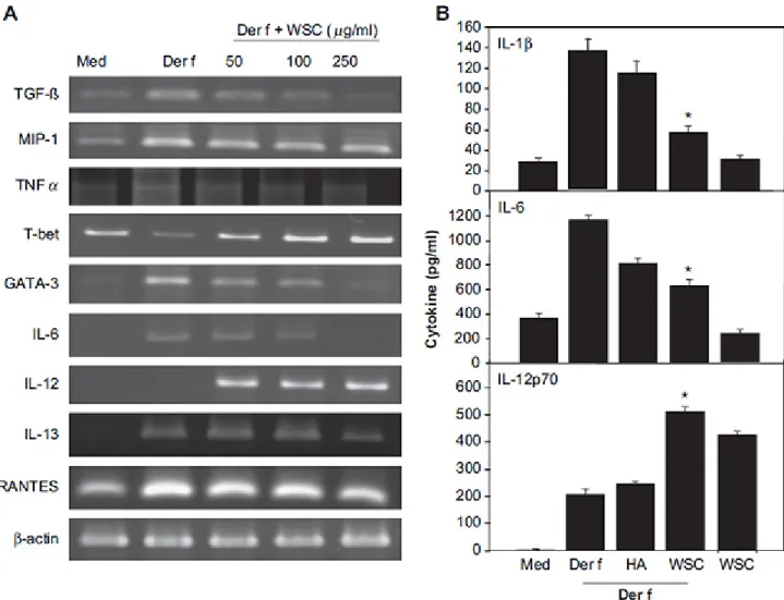 Figure 1. After pretreatment with various dosages of WSC for 6 h, there was a dose-dependent decrease in the  mRNA expression of Th2 and inflammatory cytokines as well as GATA3, whereas the mRNA expression of the  Th1 cytokine (IL-12) and its transcript fa