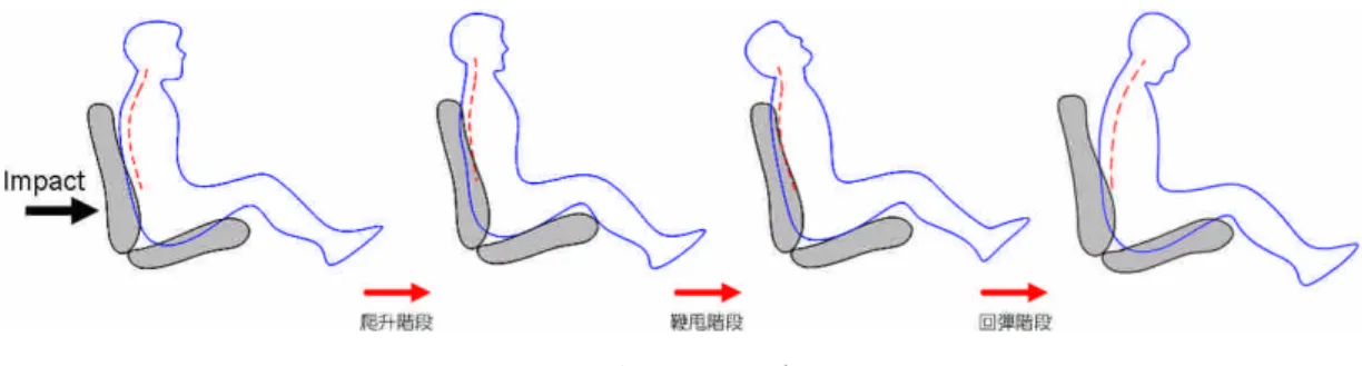 圖 1 後撞過程示意圖 第二階段為本研究所重視的部份，稱為鞭甩階段(Whiplash)，也是一般後方撞擊 最常發生傷害的階段，在此過程中可再細分成兩個運動過程，如圖 2 所示，由於胸部 於第一階段受到椅背推擠向前運動，而頭部仍因慣性停留原地，造成頭部相對軀幹向 後近似平移的運動，稱為頭部延遲(Head lag)，而造成頸椎呈現 S 型的變形，此過程 稱為收縮(Retraction motion)，而後因能量逐漸向上傳遞，使頭部開始向後甩動，呈現 拉伸的狀態，稱為伸張過程(Extension motion)，