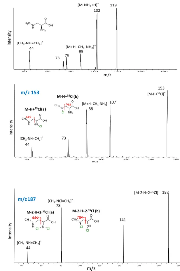 圖 4- 5. Spectrogram and proposed structures of BMAA and four intermediates,  where (a) is for BMAA, (b) is for M-H+ 35 Cl(a) and M-H+ 35 Cl (b), and (c) is for 
