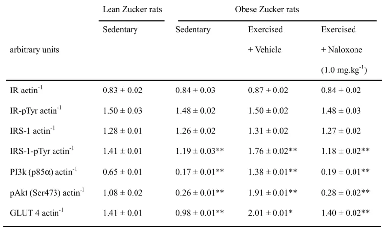 Table  3.  Quantification of the changes of protein expression and insulin-stimulated  phosphorylation in isolated soleus muscle of trained and untrained obese Zucker rats 