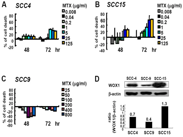 Figure 2.  MTX treatment induces cell death in SCC-4 and SCC-15, but not SCC-9 cells.  