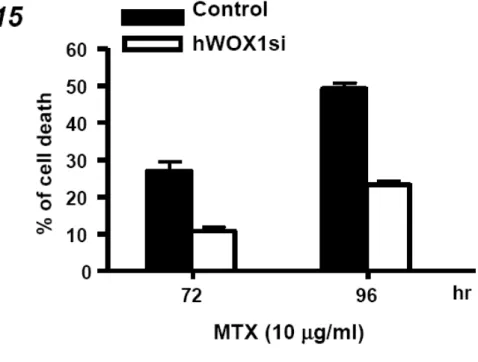 Figure  9.    MTX-induced  cell  death  is  suppressed  in  SCC-15  cells  expressing  WOX1  siRNA