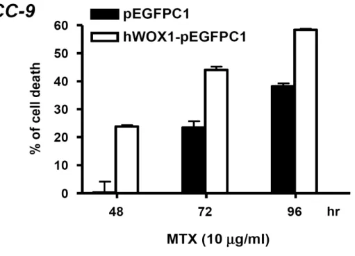Figure  10.    Ectopic  overexpression  of  WOX1  in  SCC-9  cells  increases  MTX-induced  death