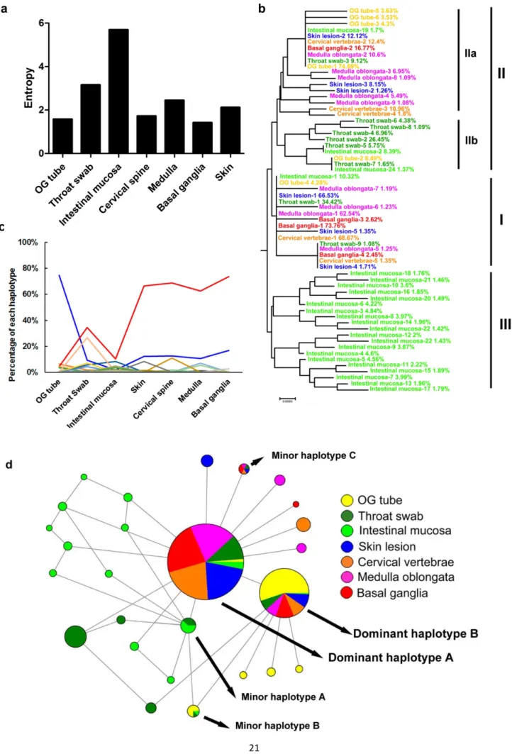 Figure 2. Dominant haplotype switching between the respiratory tract and the CNS.   