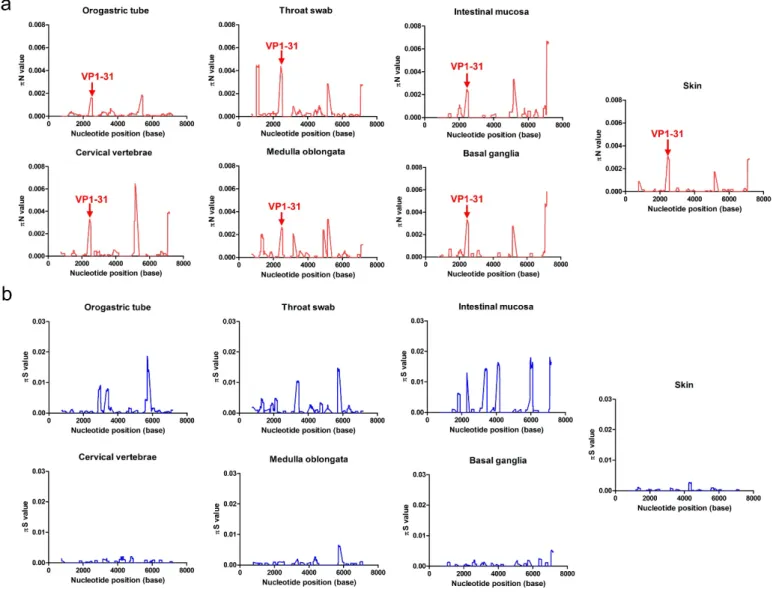 Figure 3.  Genetic-diversity contributions of non-synonymous and synonymous mutations of viruses  isolated from various tissues
