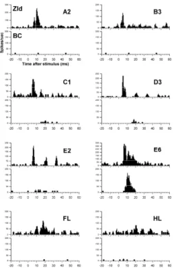 Fig. 1. Peri-stimulus histograms of single ZId and BC neurons to  innocuous stimulation in various body parts
