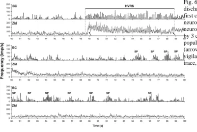 Fig. 6. Ensemble activity of 23 BC and 18 ZId neurons during HVRS  discharges and sleep spindle (SP)