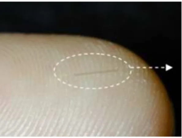 Fig. 8 schematic sketch for nano-wire formed through step-flow growth (left) ；STM images and cross- cross-section profile for Co nano-wire grown on Cu vicinal surface (right) 