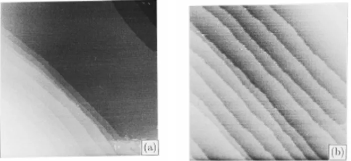 Fig. 9 Step bunching surface of Cu(111): (a)3000Å×3000Å(b)1000Å×1000Å 