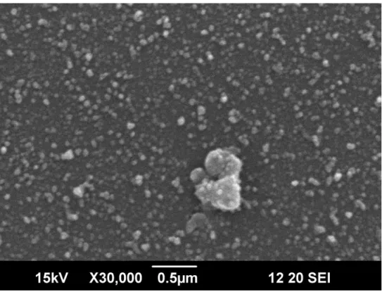 圖 3-2-1、脈衝頻率 1 Hz，脈衝次數 50 次之 SEM 圖 