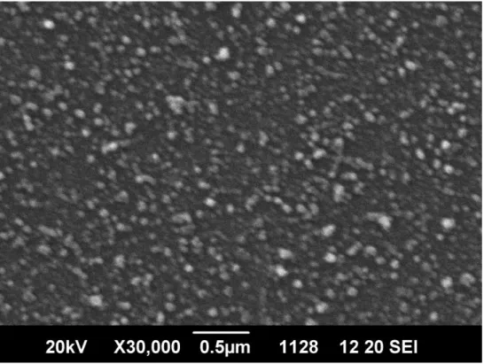 圖 3-2-3、脈衝頻率 1 Hz，脈衝次數 150 次之 SEM 圖 