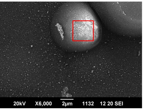 圖 3-2-5、脈衝頻率 1 Hz，脈衝次數 200 次圓錐體凸起物之 SEM 圖 