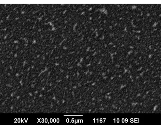 圖 3-2-7、脈衝頻率 10 Hz，脈衝次數 50 次之 SEM 圖 ElementWeight(%) Atomic(%)