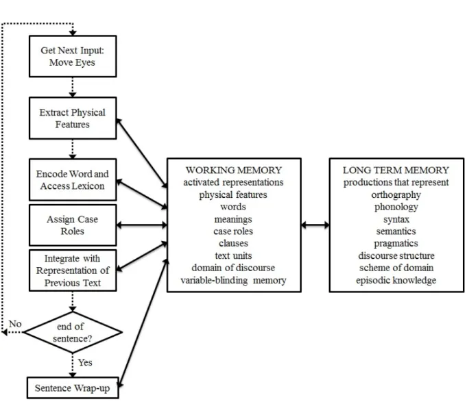 Figure 1. A schematic diagram of the major processes and structures in reading comprehension