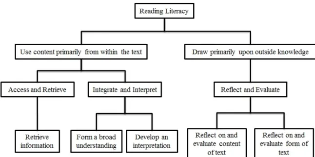 Figure 3. Relationship between PISA 2012 Reading Framework and the Aspect Subscales. 
