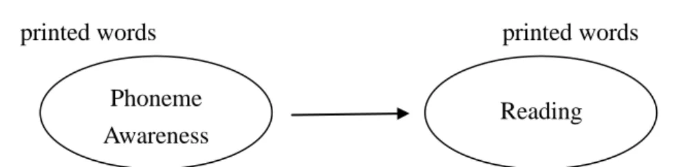 Figure 1.1. Model 1: Unidirectional relationship between phoneme awareness and reading Model 1, shown in Figure 1.2, is a path diagram illustrating a unidirectional causal  relationship between phoneme awareness in pre-readers and later success in learning
