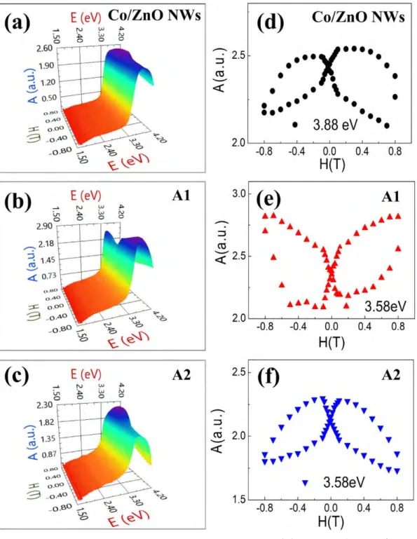 圖 2.11 在外加磁場 H= 0.8T 到-0.8T 的 MCD 譜圖 (a) 氧化鋅奈米柱蓋鈷  (b) 氧化鋅奈米柱蓋金蓋鈷 A1 (c) 氧化鋅奈米柱蓋金蓋鈷 A2，外加磁場下 H= 0.8T 到-0.8T 在吸收最大值能量位置下的 A-H 圖(d) 氧化鋅奈米柱蓋鈷  (e) 氧化鋅奈米柱蓋金蓋鈷 A1 (f) 氧化鋅奈米柱蓋金蓋鈷 A2。[2] 