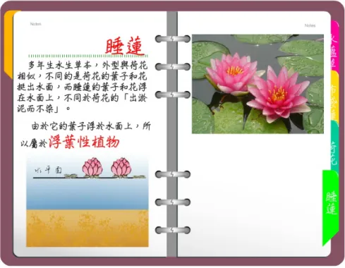 圖 3.7  教材內容-認識睡蓮 2.  水生植物的生長方式:  此部分包含主頁面及四種生長方式的詳細介紹頁面，首先從首頁點擊水生植物的生 長方式的連結，連接到以下頁面(圖3.8,圖3.9)，此頁面共包含四個連結，分別為本教 材“水生植物的生長方式”的四個分類。  圖 3.8  教材內容-水生植物的生長方式  35 
