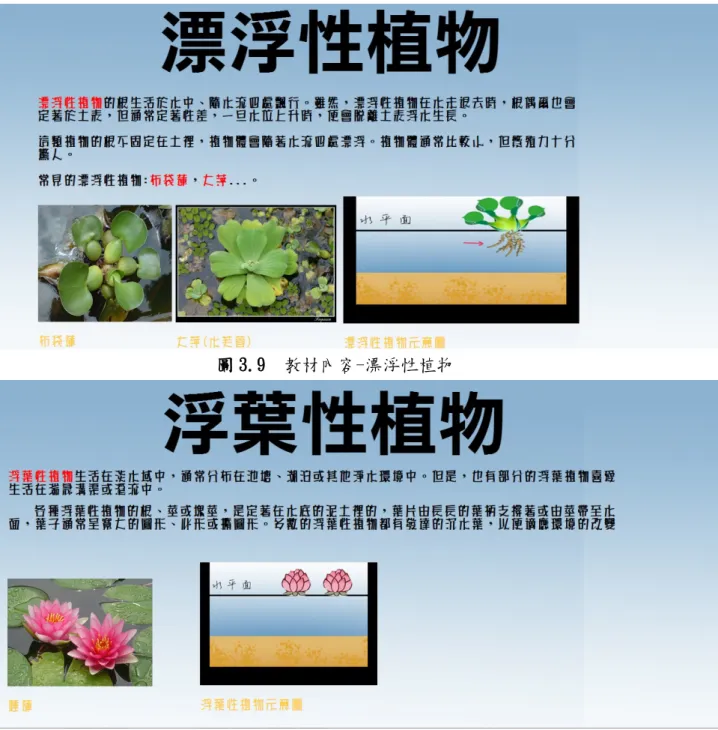 圖 3.9  教材內容-漂浮性植物