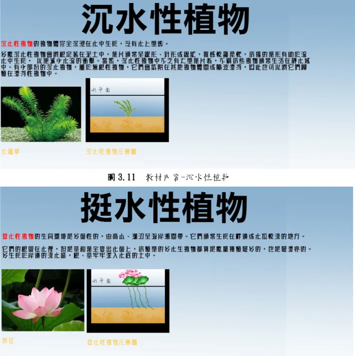 圖 3.11  教材內容-沉水性植物 圖 3.12  教材內容-挺水性植物  3.  水生植物的外型與特徵:  此部分教材以flash CS6所製作的動畫的方式呈現教學內容，與課本內容相同，共三 部分，分別為“水蘊草的特徵”、“布袋蓮的特徵”及“荷花的特徵”，透過動畫的方 式，讓學習者能重新回憶起課堂教學時，老師實際操作的教學內容。  37 