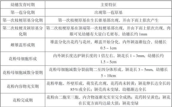 表 3-12　水稻幼穗发育各期的主要特征 幼穗发育时期 主要特征 第一苞分化期 出现第一苞原基 第一次枝梗原基分化期 第一次枝梗原基在生长锥基部出现，并由下而上依次产生 第二次枝梗及颖原基分 化期 第二次枝梗原基在顶端第一次枝梗基部出现，并由下而上依次出现，肉眼可见幼穗有大量白毛密布，幼穗长约 1mm 雌雄蕊形成期 雄蕊分化出花药与花丝，雌蕊开始分化，内外颖逐渐包合，幼穗长 0.5～1cm 花粉母细胞形成 内外颖长度达护颖长度的 1 倍左右，颖花长 1～3mm，幼穗长约 1.5～5cm 花粉母细胞减数分裂期