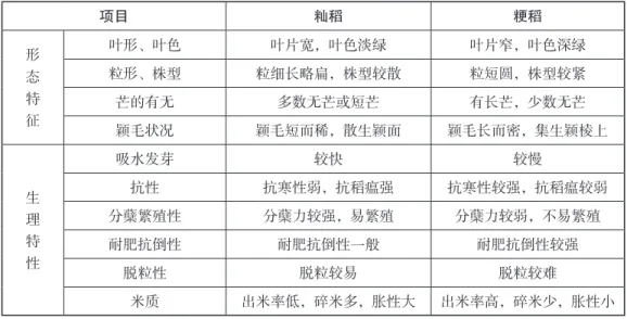 表 3-1　籼、粳稻的主要特点比较 项目 籼稻 粳稻 形 态 特 征 叶形、叶色 叶片宽，叶色淡绿 叶片窄，叶色深绿粒形、株型粒细长略扁，株型较散粒短圆，株型较紧芒的有无多数无芒或短芒有长芒，少数无芒 颖毛状况 颖毛短而稀，散生颖面 颖毛长而密，集生颖棱上 生 理 特 性 吸水发芽 较快 较慢抗性抗寒性弱，抗稻瘟强 抗寒性较强，抗稻瘟较弱分蘖繁殖性分蘖力较强，易繁殖分蘖力较弱，不易繁殖耐肥抗倒性耐肥抗倒性一般耐肥抗倒性较强 脱粒性 脱粒较易 脱粒较难 米质 出米率低，碎米多，胀性大 出米率高，碎米少，胀性小