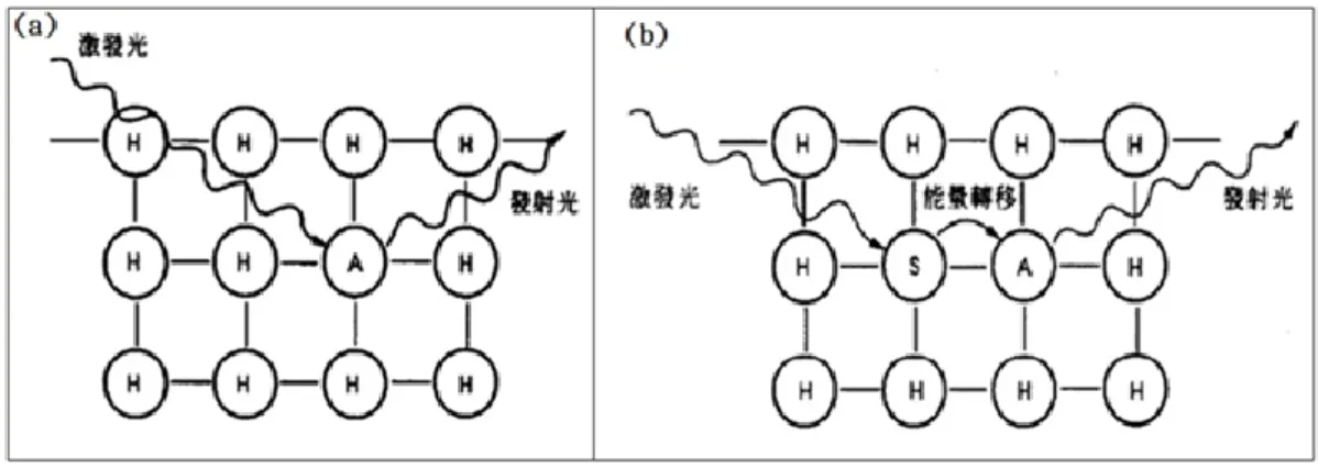 圖 2-3 材料的化學組成簡圖：(a)H：A (b)H：A, S [21] 
