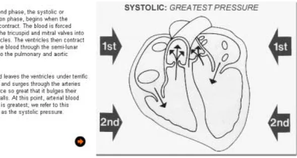 Figure 1 A Sample of the Static Visual Treatment 