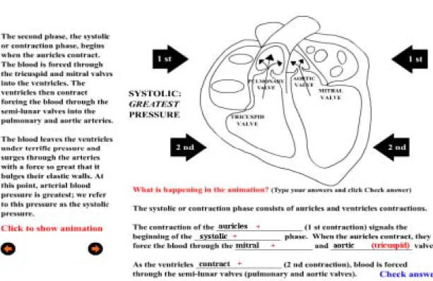 Figure 7 A Sample of the Animation with Adjunct questions and feedback  Treatment (Second Screen) 