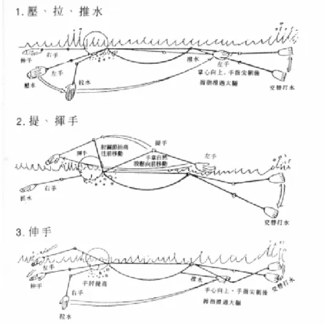 圖 2-5 捷式划手動作(府佩琯，1998，P39 )  (一) 壓：首先單手臂向前平伸入水，掌心向下，五指併攏準備開 始划動部位。當手臂向下壓划至水平面約成 20 至 30 角度為 第一階段。  (二) 拉：手臂從水平面壓划 20 至 30 角度繼續划至 90 角度之間 的動作稱為拉，是第二階段，此一階段亦為著力階段，在划 臂過程中為推動前進力量最有效之一段動力。此時划臂最 快，用力也最大。  (三) 推：划臂與水平面垂直續划至斜後 150 度之距離時稱為推， 為第三階段，此段亦為推動力最有效一段動作。 