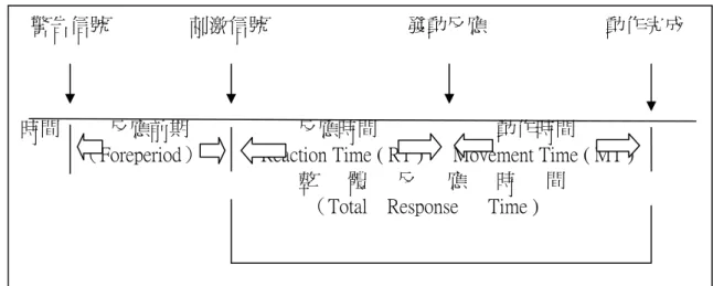 圖 2-1  反應時間、動作時間和整體反應時間的關係（修改自林清和，1996 , p . 242 )            若將反應時間依反應過程的種類區分，可區分為 SRT(Simple Reaction Time） 、CRT  (Choice Reaction Time） 、 DRT (Discrimination Reaction Time） 。 SRT  即所謂的簡單反應時 間，指個體針對單一出現的刺激時，做出單一反應之間的時間。CRT  又稱為選擇反應 時間，個體對兩個或兩個以上可能出現的刺激執行