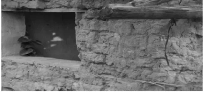 Figure 1  House in primitive society 