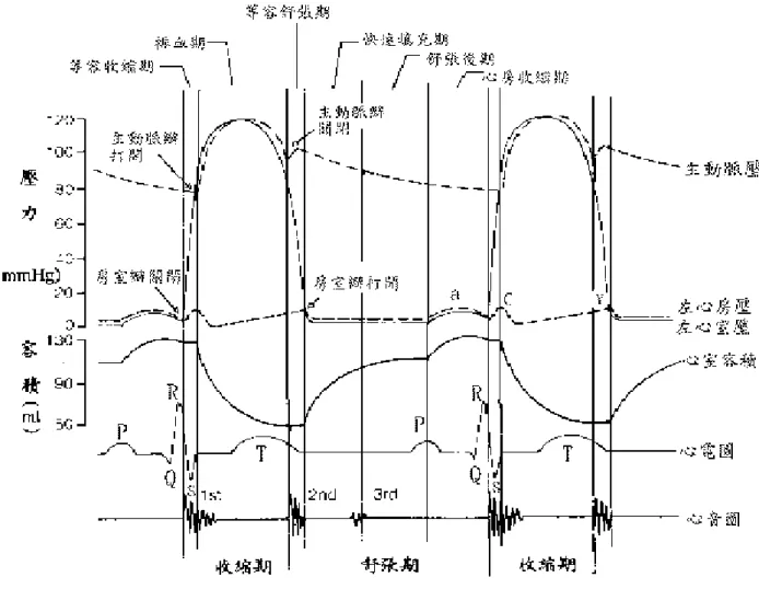 圖 2-1-8  心臟週期中，左心室、左心房及主動脈發生事件摘要圖 