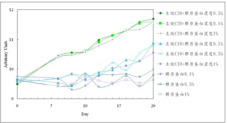 Fig. 12  添加左旋 C 之膠原蛋白溶液使用於黑斑之淡斑療效  在表4.7中可看出，膠原蛋白的濃度多寡並沒有明顯的影響到左旋維他命C之淡斑美 白療效，因此由表4.3與表4.7這兩項實驗結果顯示，膠原蛋白並無明顯之淡斑美白療效。  3.2.3  臉部細紋之吸收與療效 而 Fig