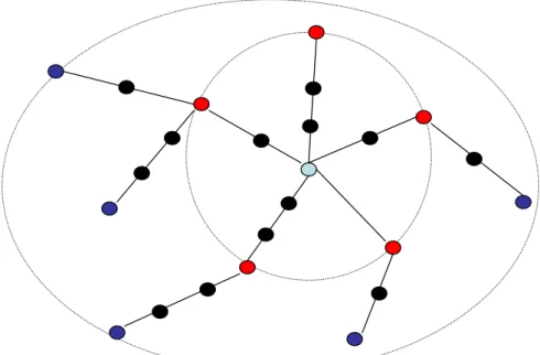 Figure 11 : Argument Network Topology Example 